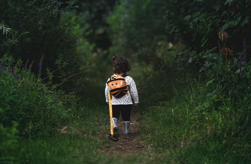 Walking in Nature